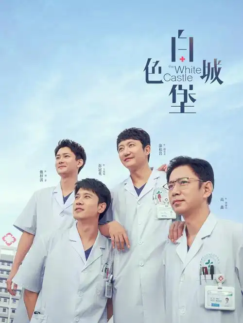 归潮 八哥影院现实家庭剧集海报